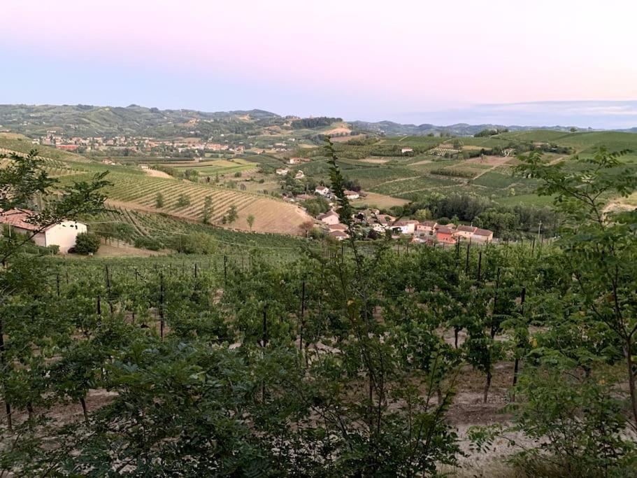 Apart-Agriturismo "La Colomba" Nizza Monferrato Esterno foto